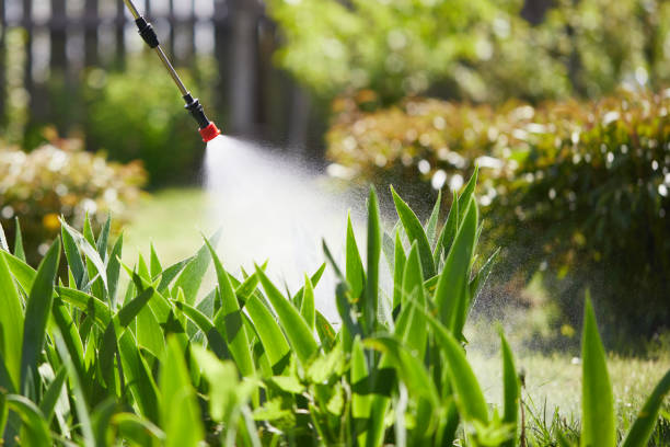 24/7 Emergency Ant Control experts in Harlan, KY