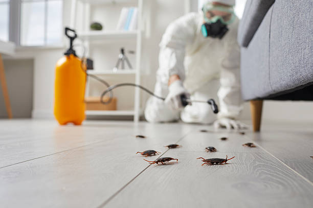 Trusted Termite Control service in Harlan, KY - Nex Pest Control