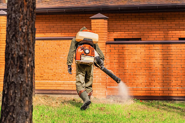 Trusted Ant Control service in Harlan, KY - Nex Pest Control